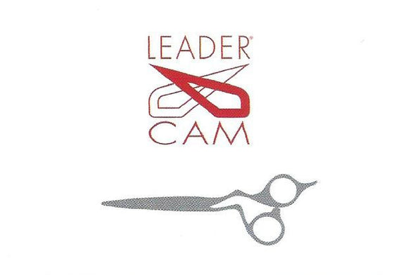 Ofertas Leader Cam
